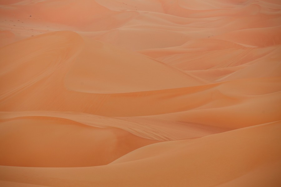 Personal Work Abu Dhabi desert image