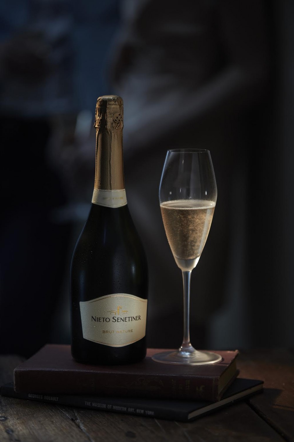 Nieto Senetiner casa image