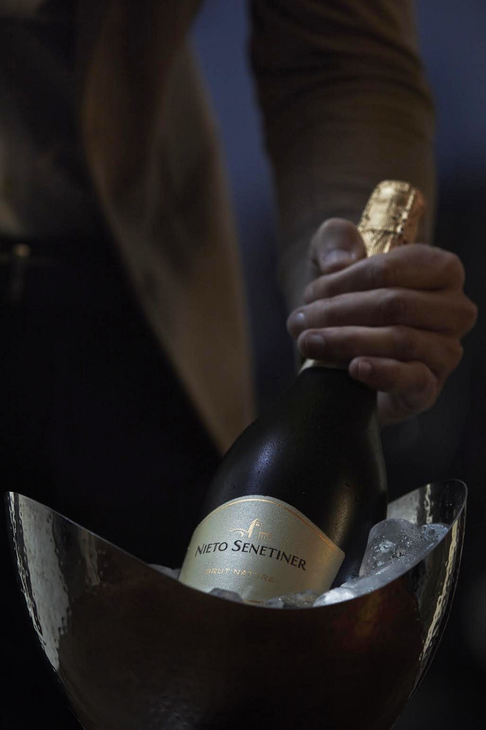 Nieto Senetiner casa image