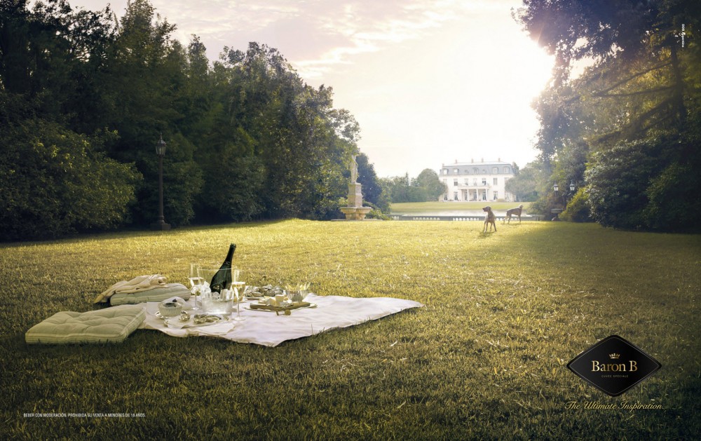 Baron B picnic image