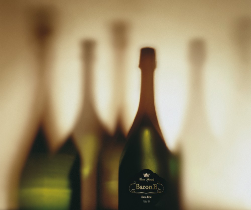 Baron B picnic image