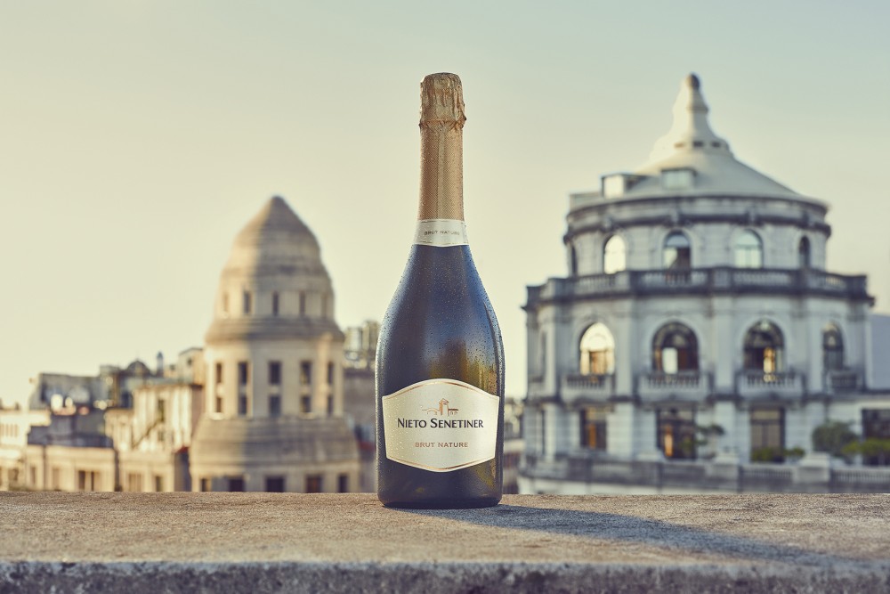 Nieto Senetiner terraza image