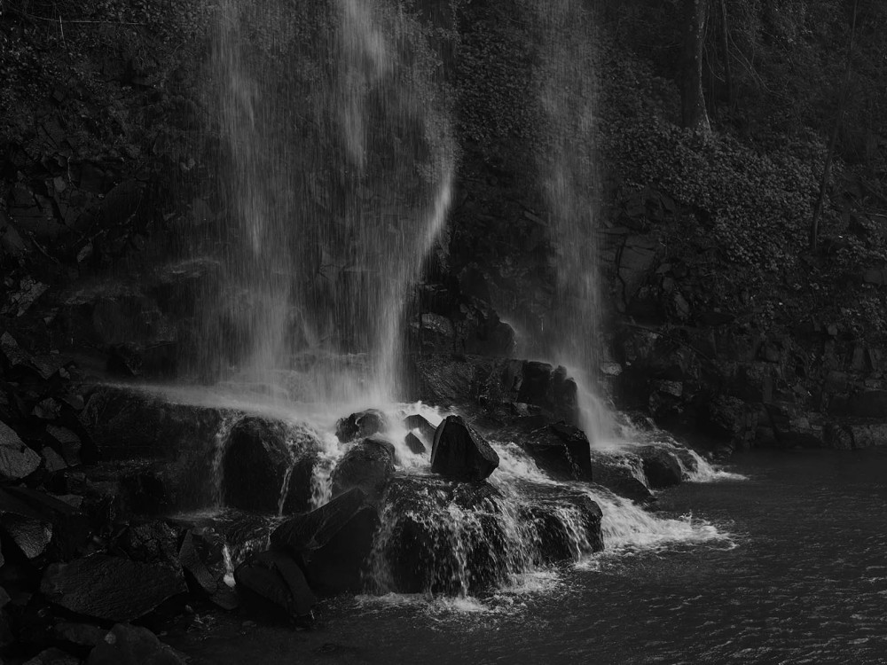 Personal Cataratita image