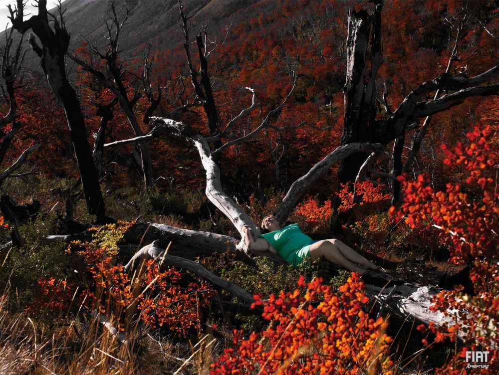 Fiat Patagonia image