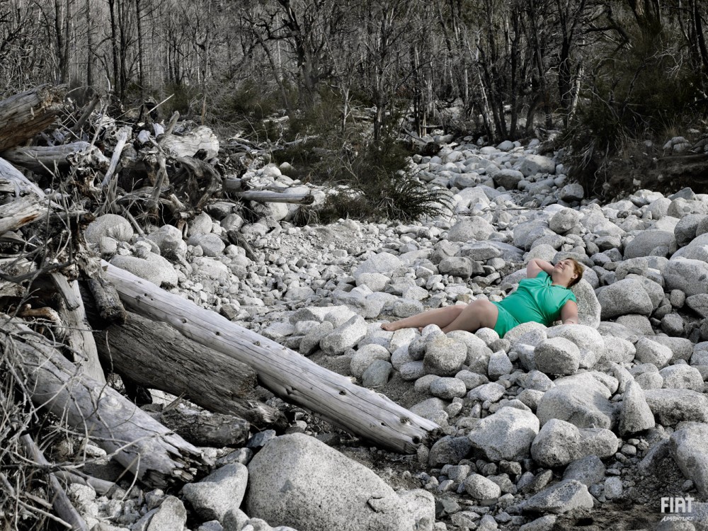 Fiat Patagonia image