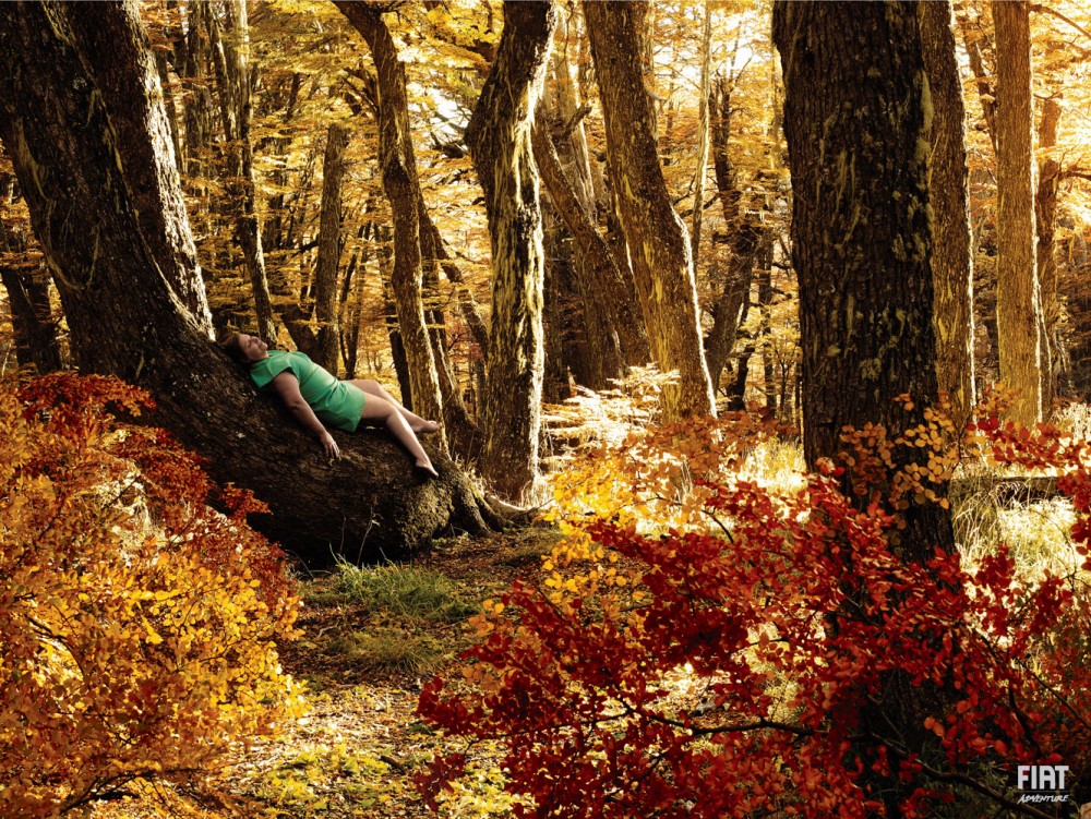 Fiat Patagonia image