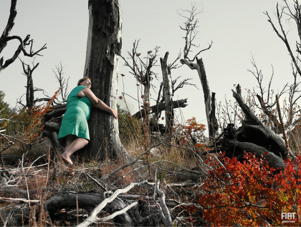 Fiat Patagonia image