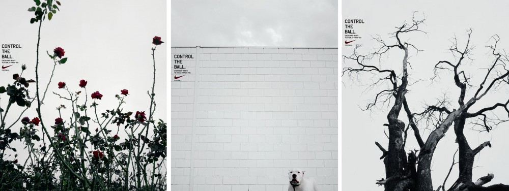 NIKE Roses & tree image