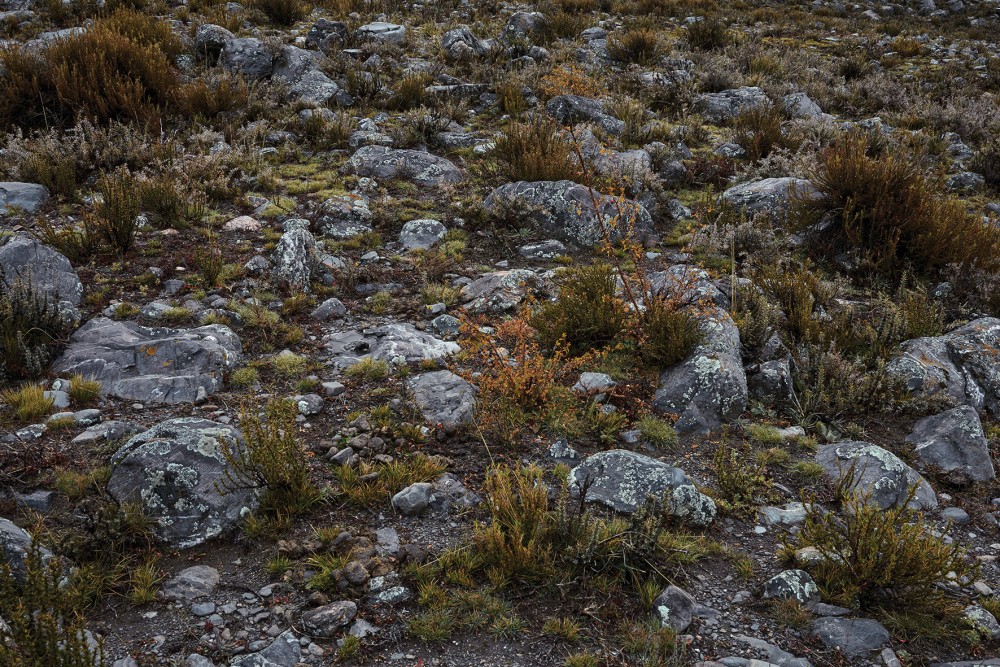 Nieto Senetiner paisajes Nieve image