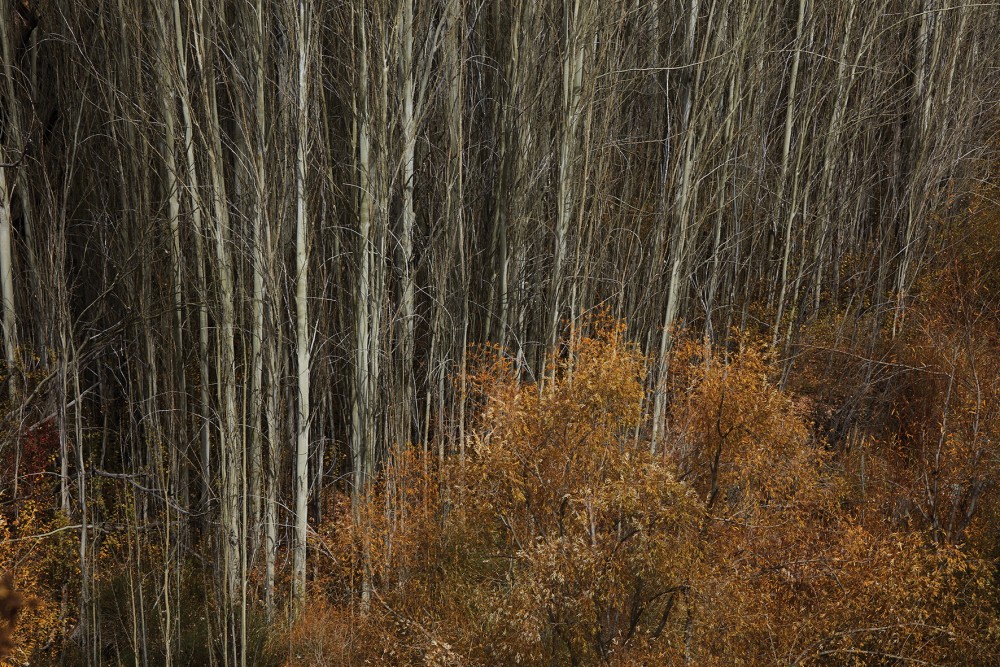 Nieto Senetiner paisajes Nieve image