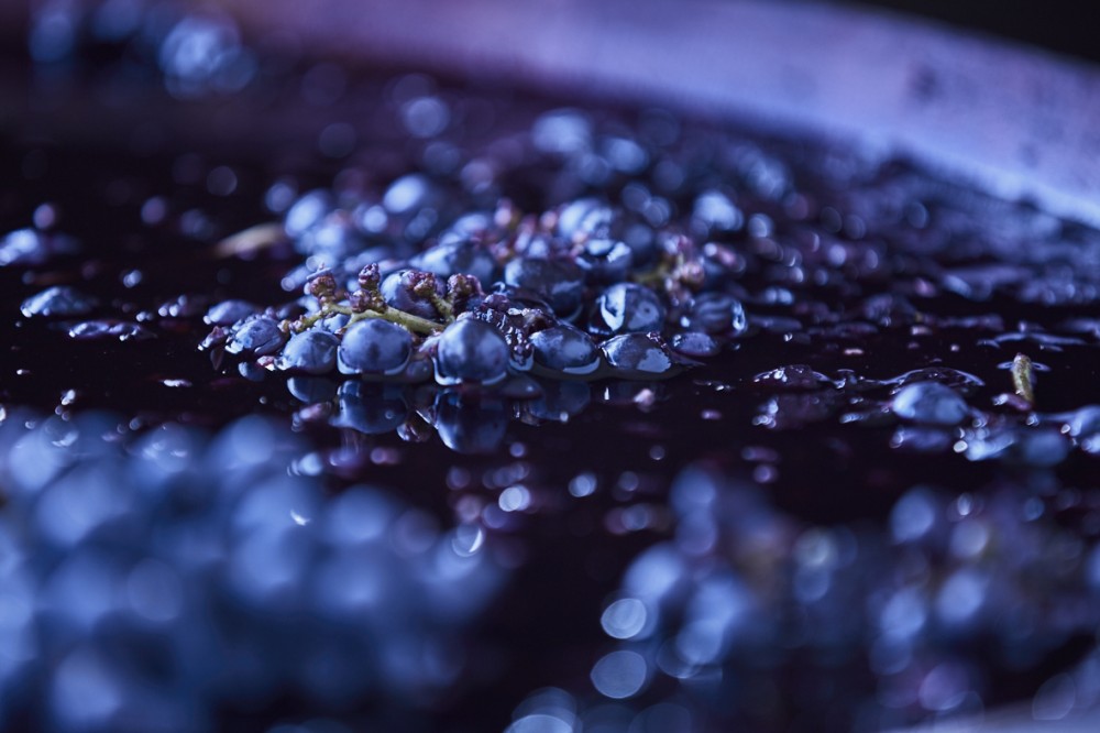 Nieto Senetiner paisajes Nieve image