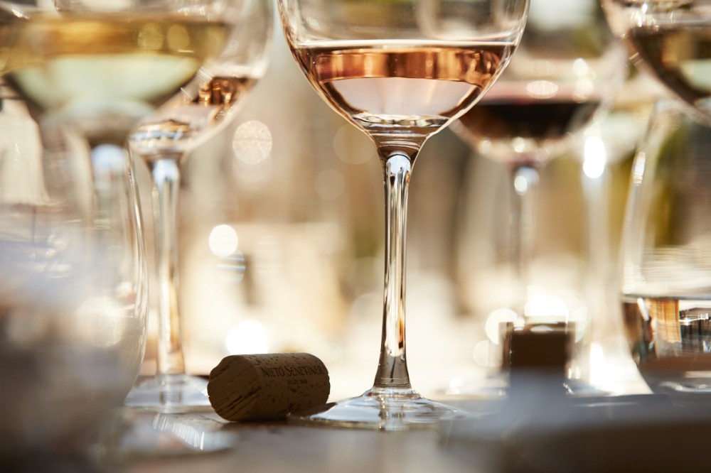 Nieto Senetiner paisajes Nieve image