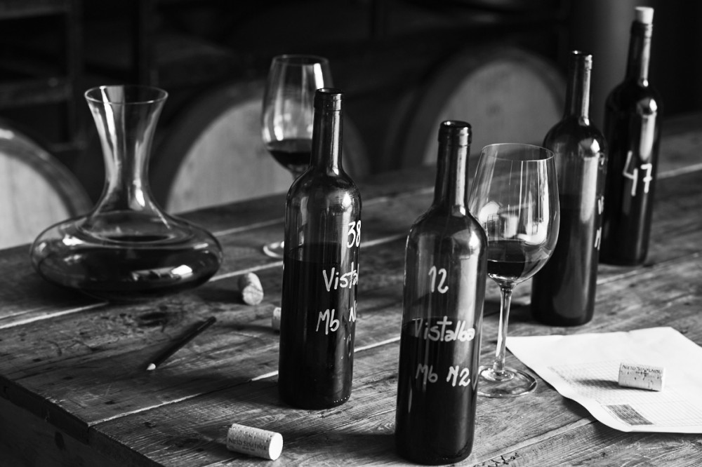 Nieto Senetiner paisajes Nieve image