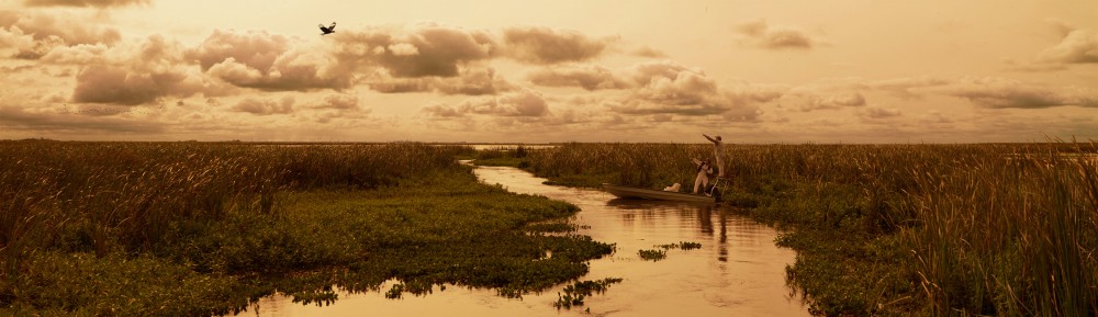 Inprotur Esteros del Ibera image