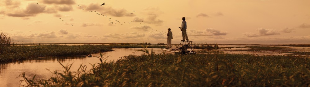 Inprotur Esteros del Ibera image