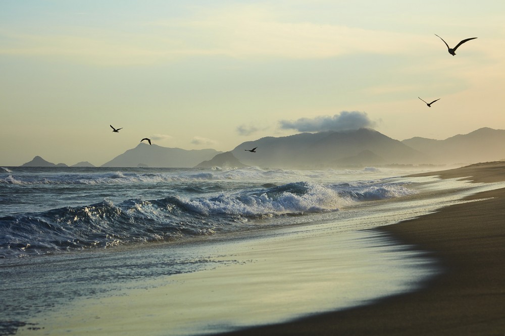 BRASIL RIO 2022 image