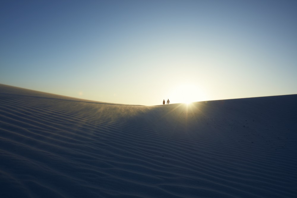 Terra Manglar dunas image